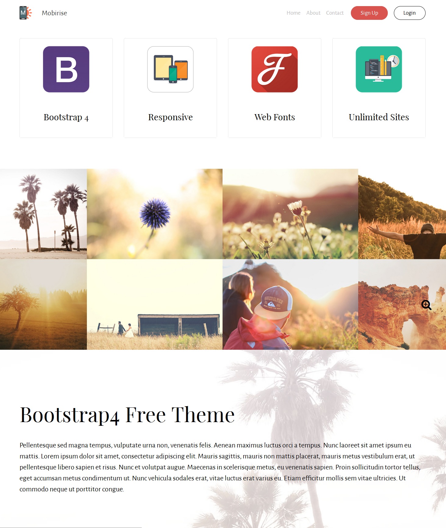 Responsive Bootstrap Real Estate Theme